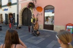 p1010119-800x600