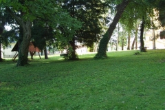 p6130014