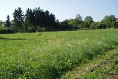 p6130028
